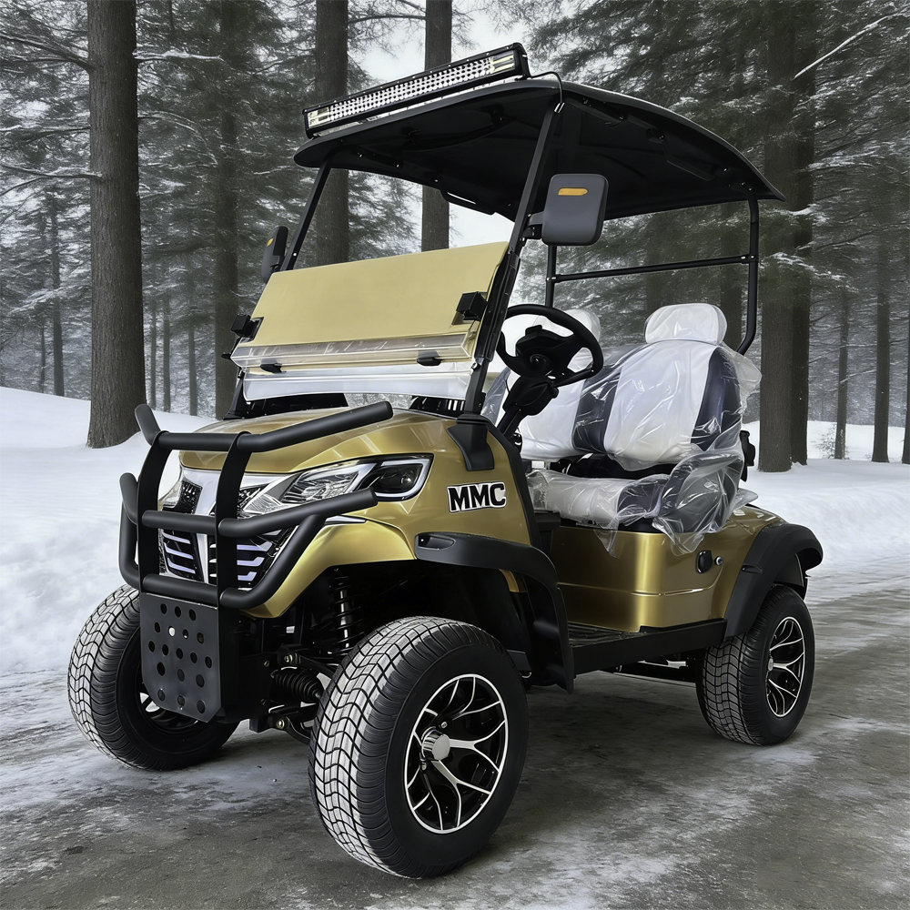 High-Performance 60V Fast-Spee - Outdoor Adventure Golf recensione e prezzo